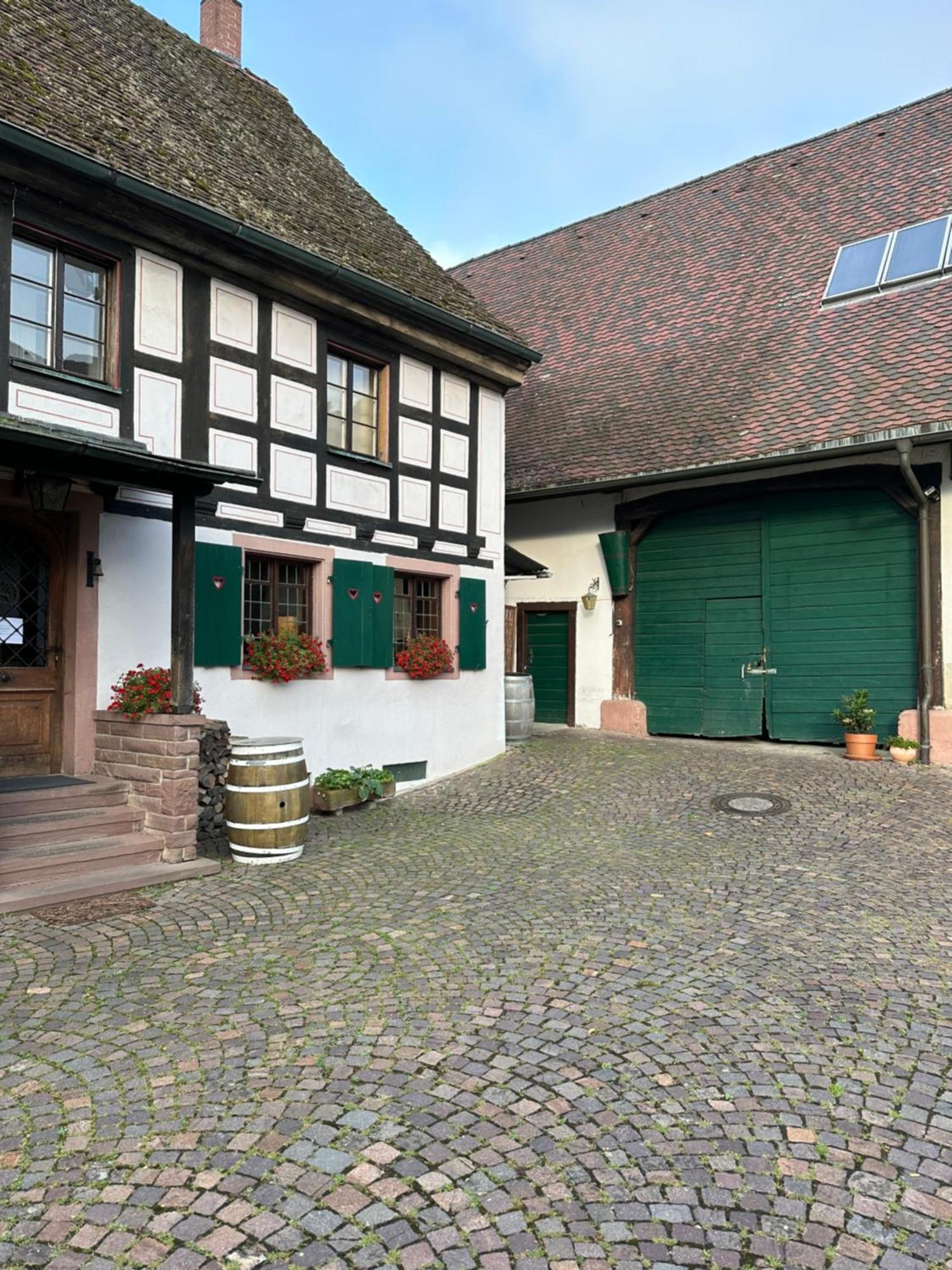Exklusive Maisonette-Wohnung Am Rande Von Freiburg Merzhausen Exterior foto
